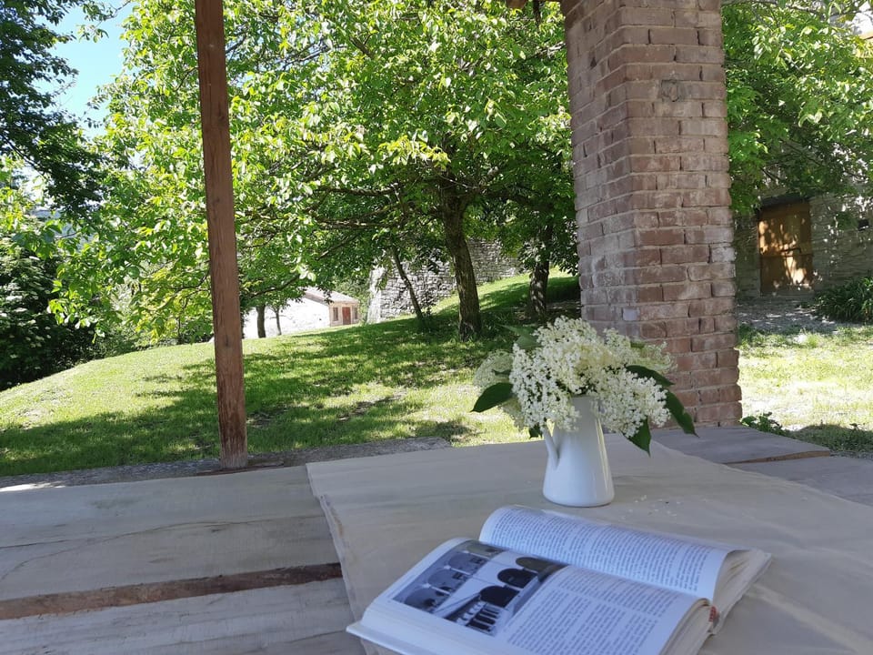 Day, Natural landscape, Garden