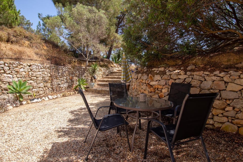 Lovely Rustic Casa Catita with amazing roof terrace views House in Faro District