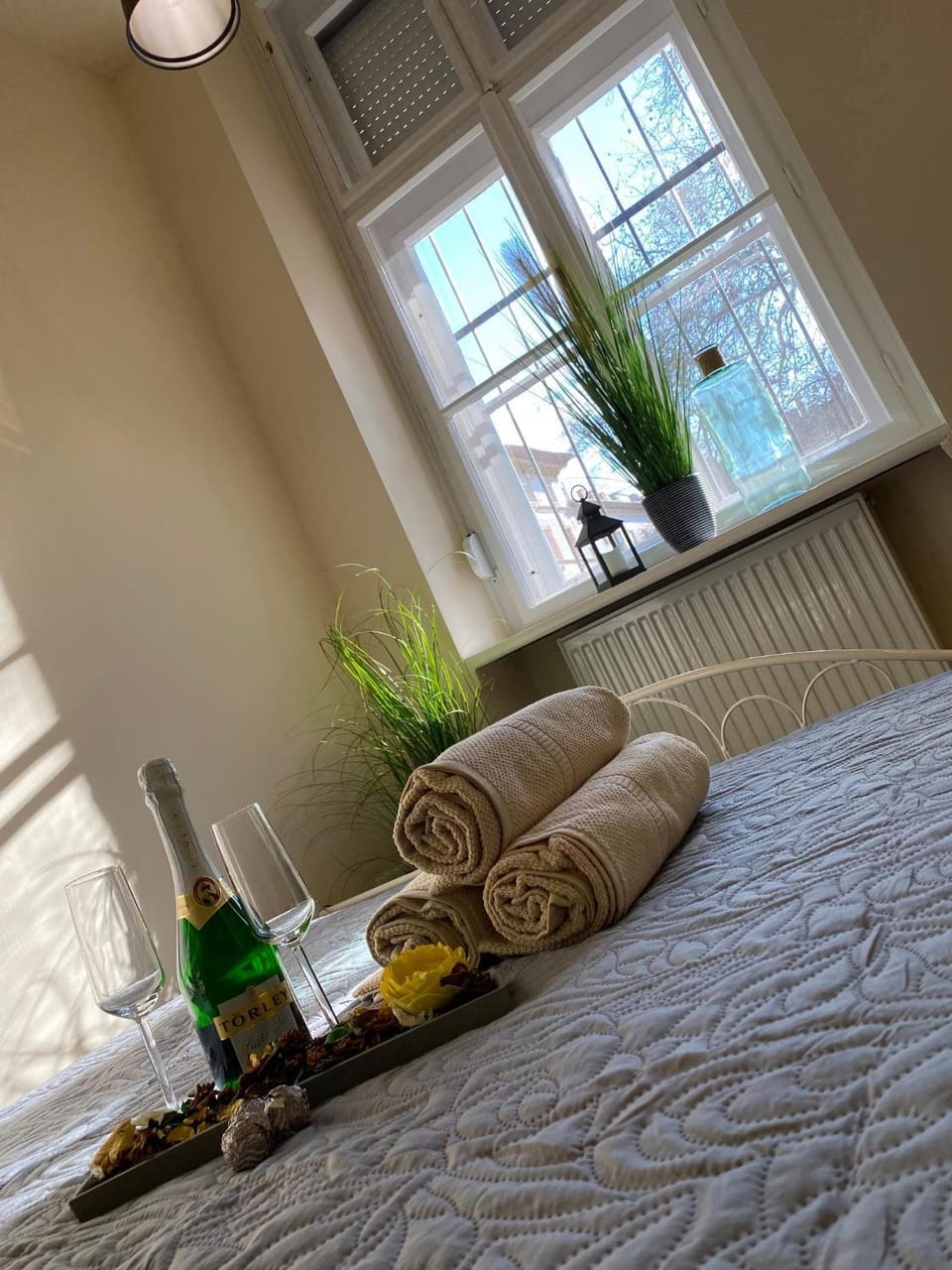 Pedal Apartman Szeged City Apartment in Szeged