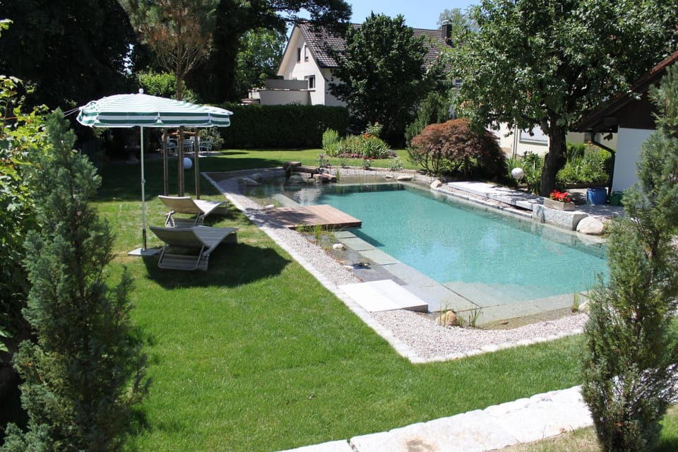Garden, Pool view, Swimming pool