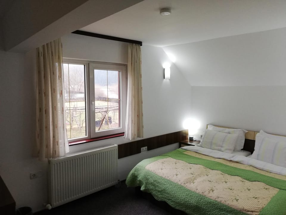 Pensiunea Veronica Bed and Breakfast in Romania