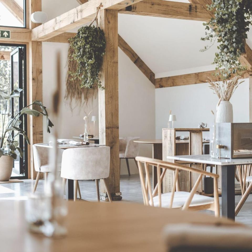 Restaurant/places to eat, Restaurant/places to eat, Dining area