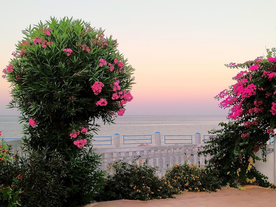 Garden, Garden view, Sea view, Street view, Sunset