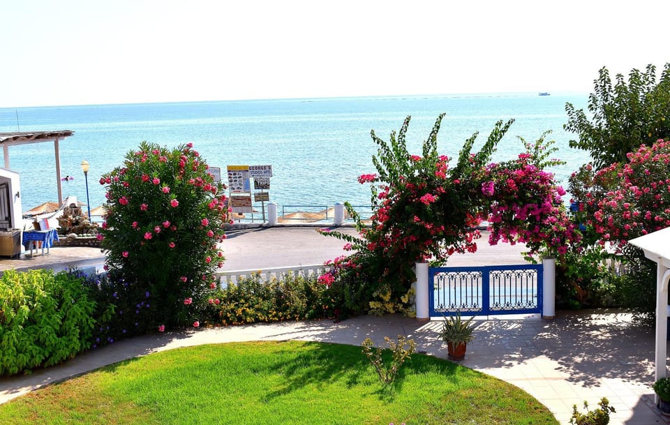 Day, Garden, Beach, Garden view, Sea view
