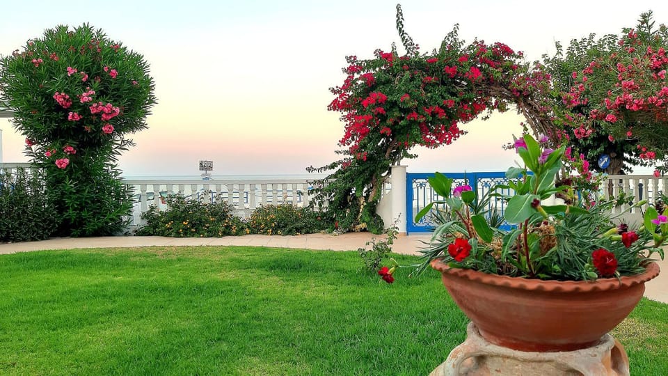 Garden, Garden view, Sea view, Sunset