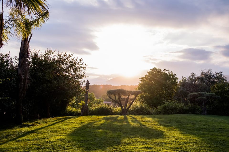 Garden, Sunset