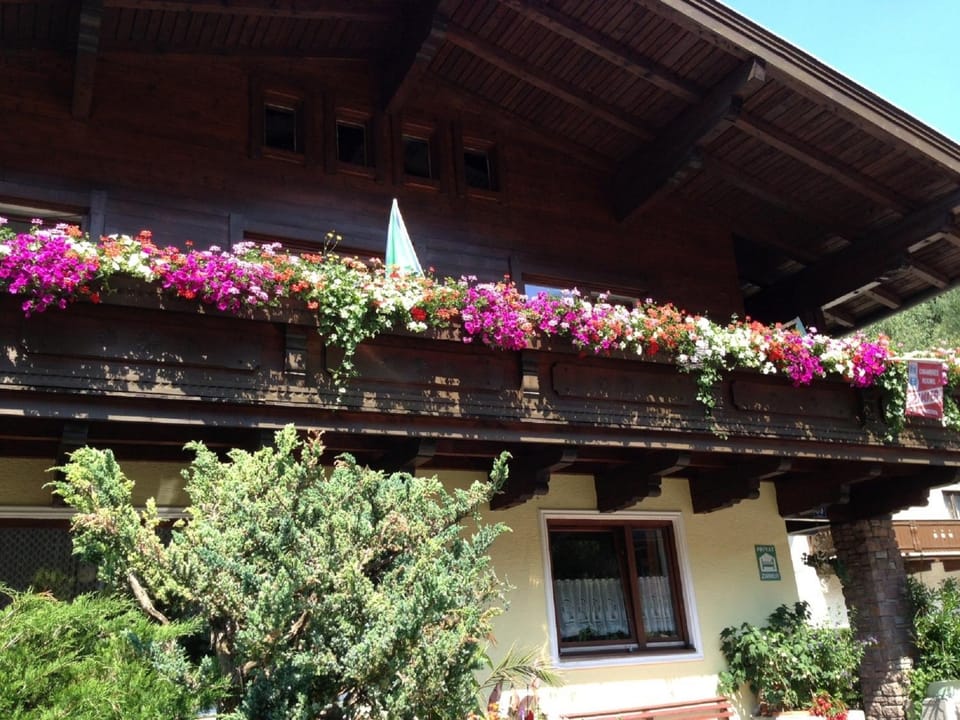 Property building, Decorative detail
