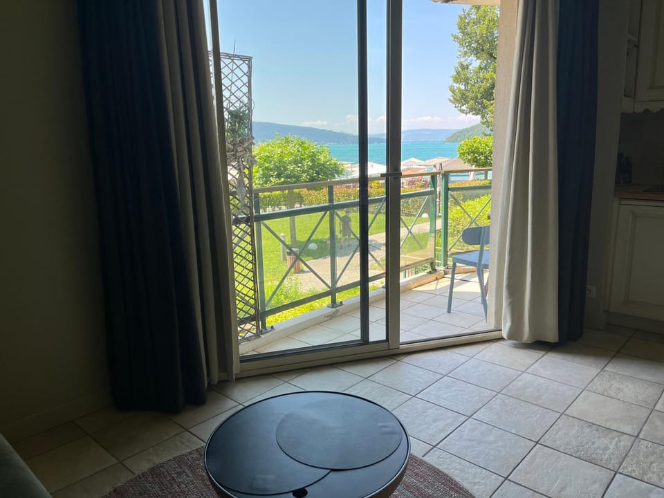 Studio les pieds dans l'eau Apartment in Talloires