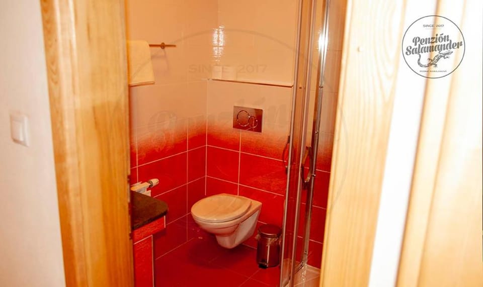Penzion Salamander Bed and Breakfast in Slovakia