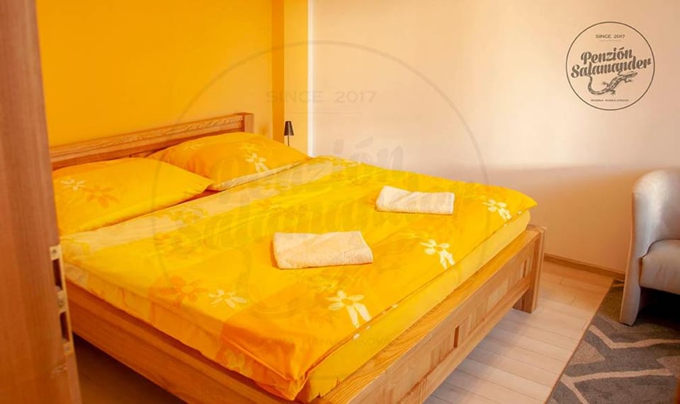 Penzion Salamander Bed and Breakfast in Slovakia