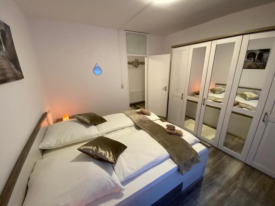 Mariposa 3 incl Pool & Sauna Apartment in Goslar