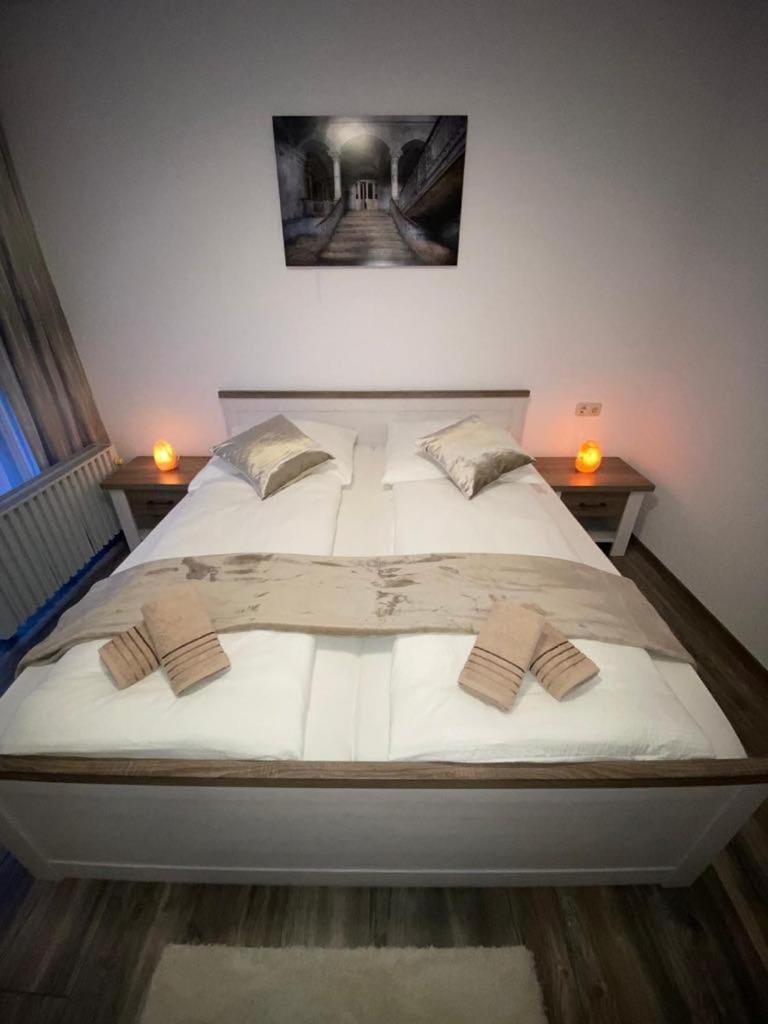 Mariposa 3 incl Pool & Sauna Apartment in Goslar