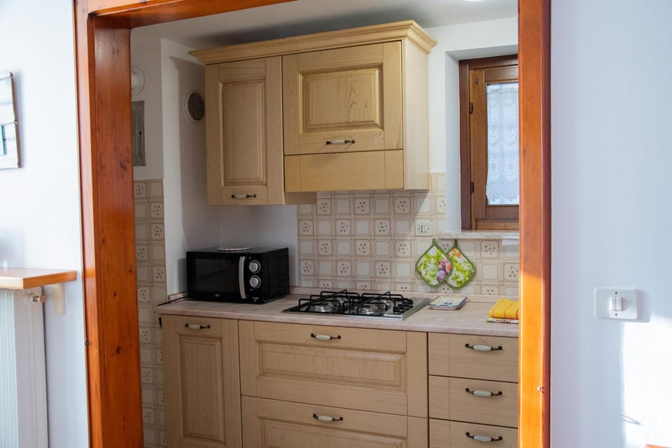 Kitchen or kitchenette, minibar, stove