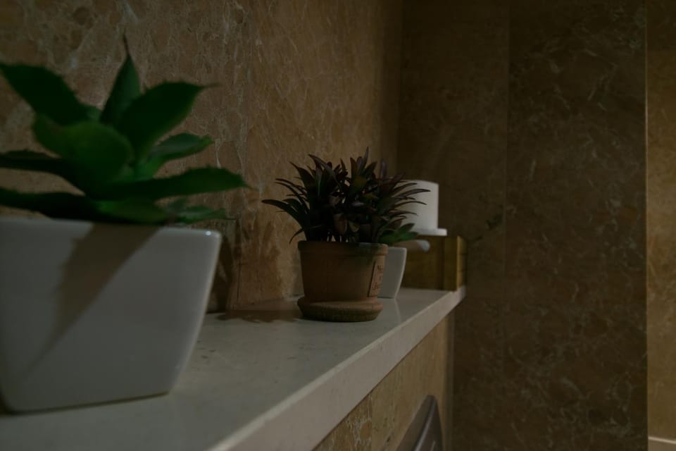Avenida Central - Coimbra Accommodation Apartment in Coimbra
