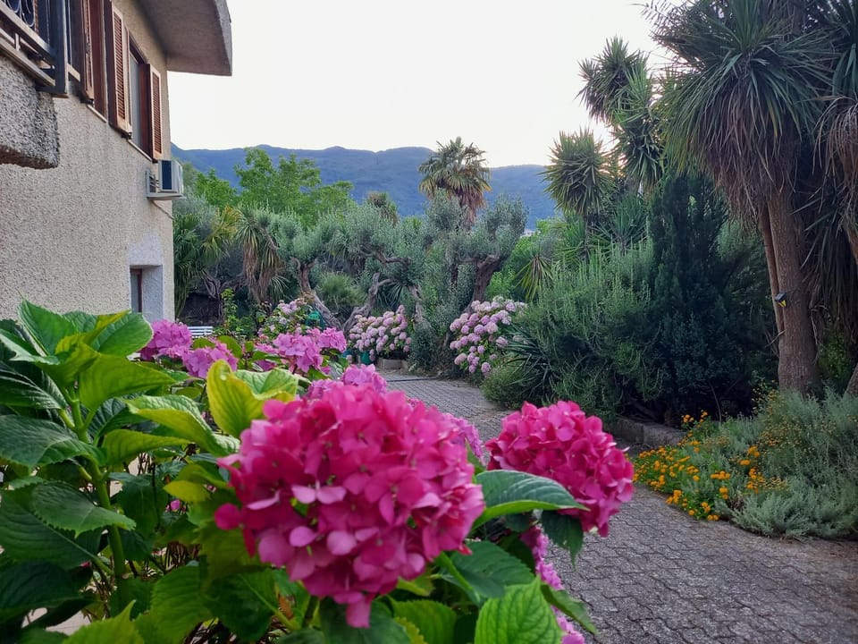 Casa Emilia Bed and Breakfast in Calabria
