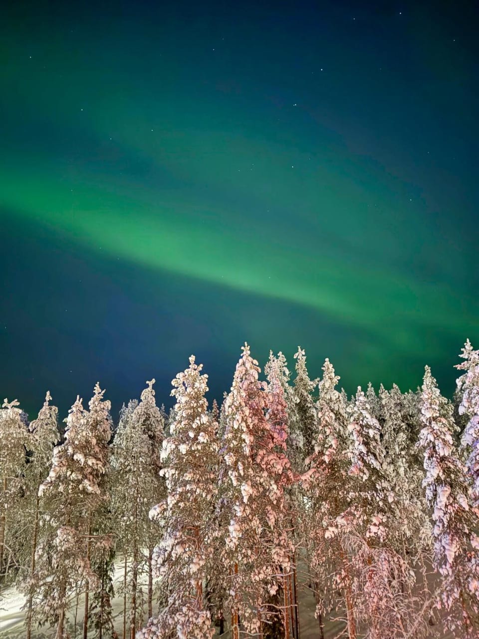 Levi City Suite - Central & Stylish with Free Ski Passes Apartment in Lapland