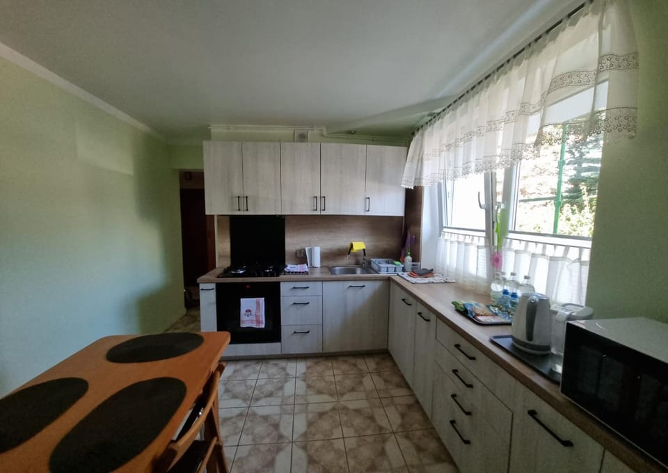 Coffee/tea facilities, Kitchen or kitchenette, minibar, stove, toaster, kitchen