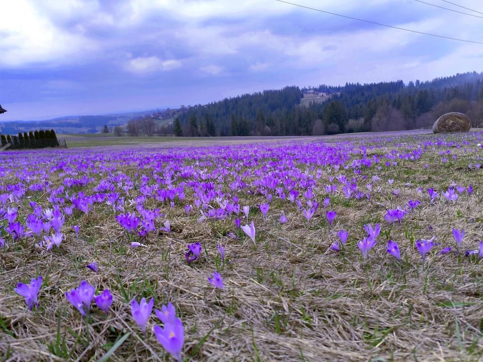Spring, Off site, Natural landscape
