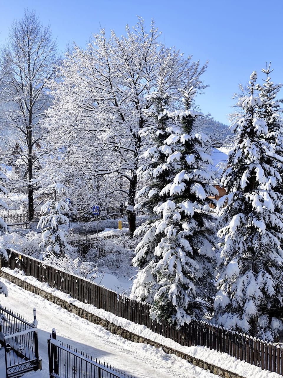 Natural landscape, Winter, View (from property/room)