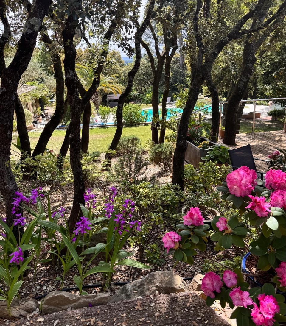 Spring, Day, Natural landscape, Garden, Garden view