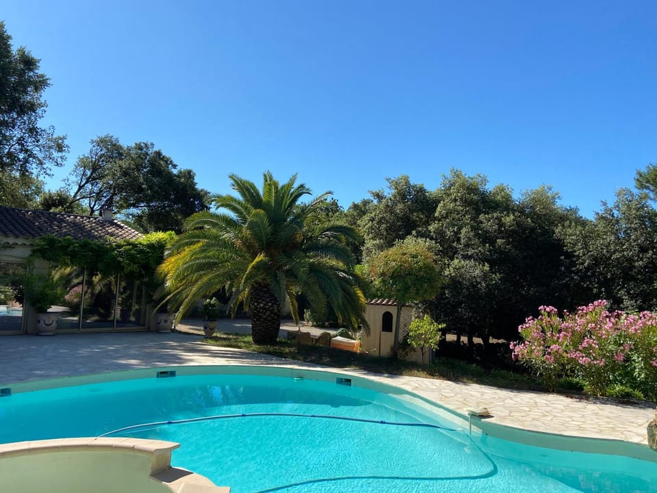 Spring, Day, Natural landscape, Garden, Garden view, Pool view, Swimming pool, sunbed