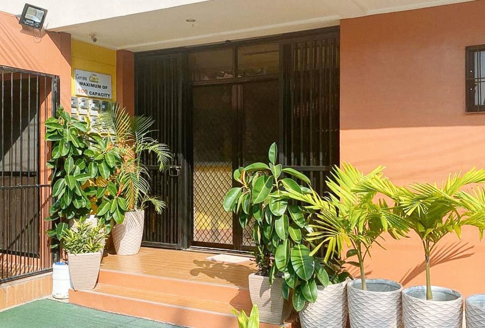 Day, Garden, Garden view