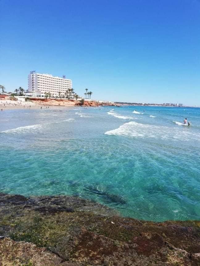 Spring, Snorkeling, Windsurfing