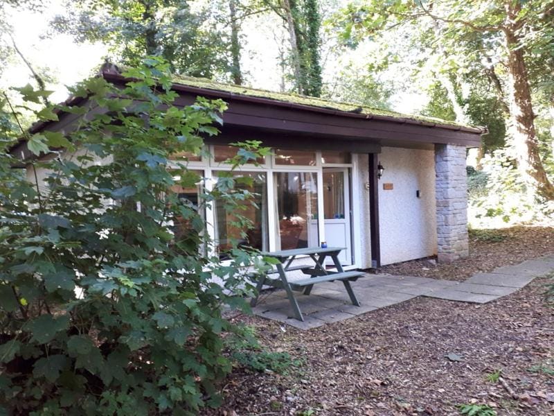 Woodland Retreat House in England