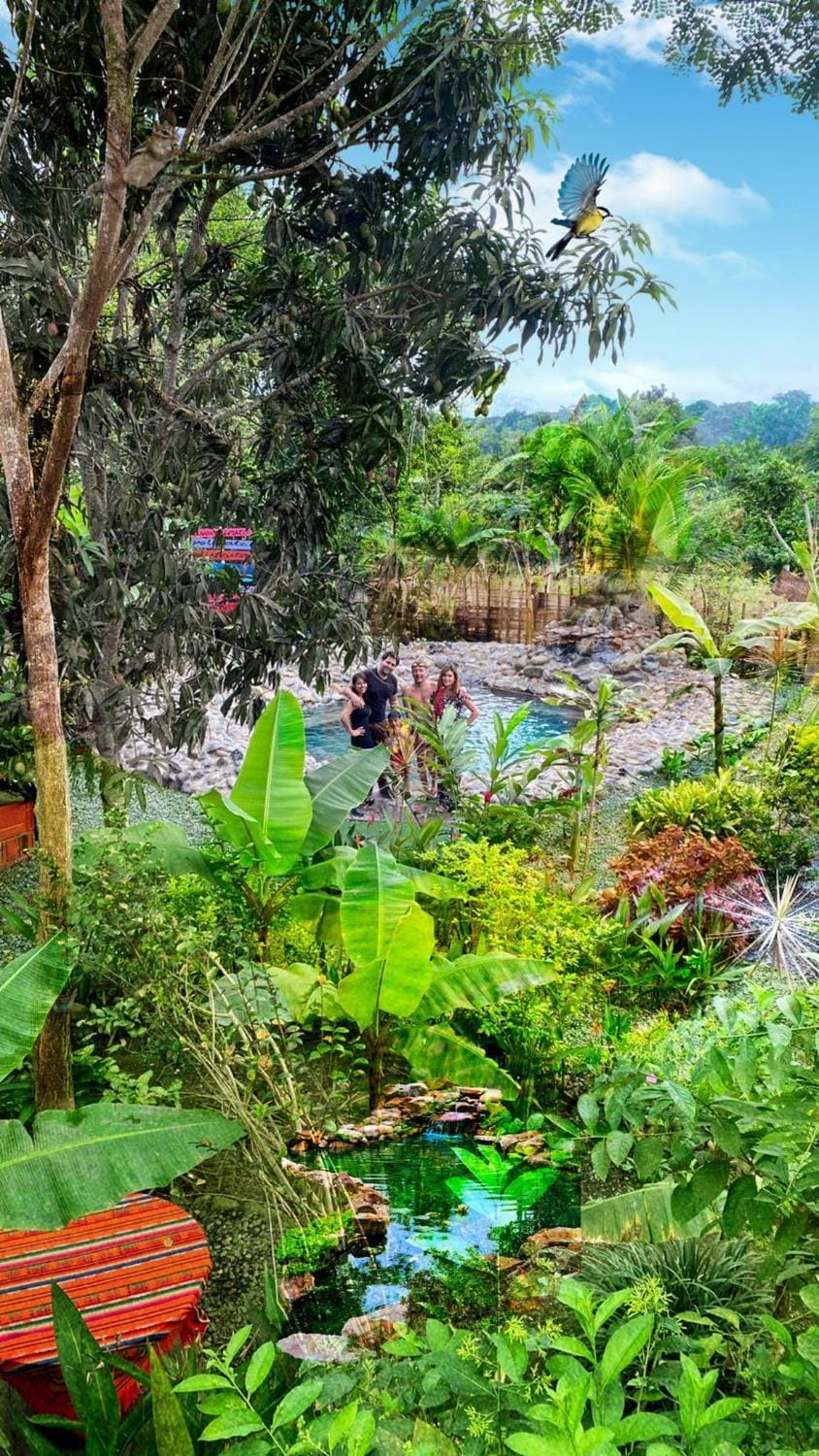 Nearby landmark, Day, Natural landscape, Garden, Garden view, Pool view, Swimming pool