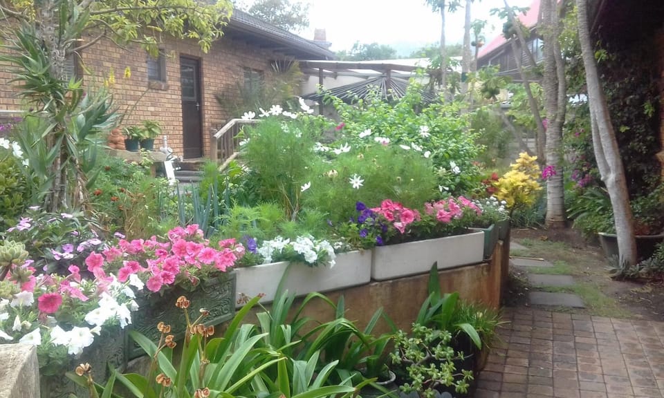 Marlin Cottage Apartment in Eastern Cape