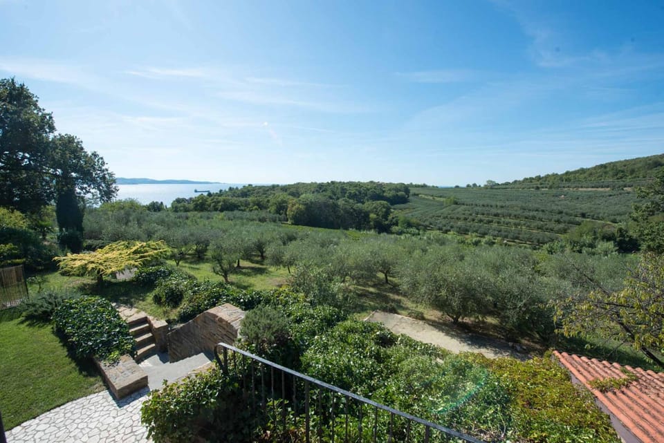 Garden view, Sea view