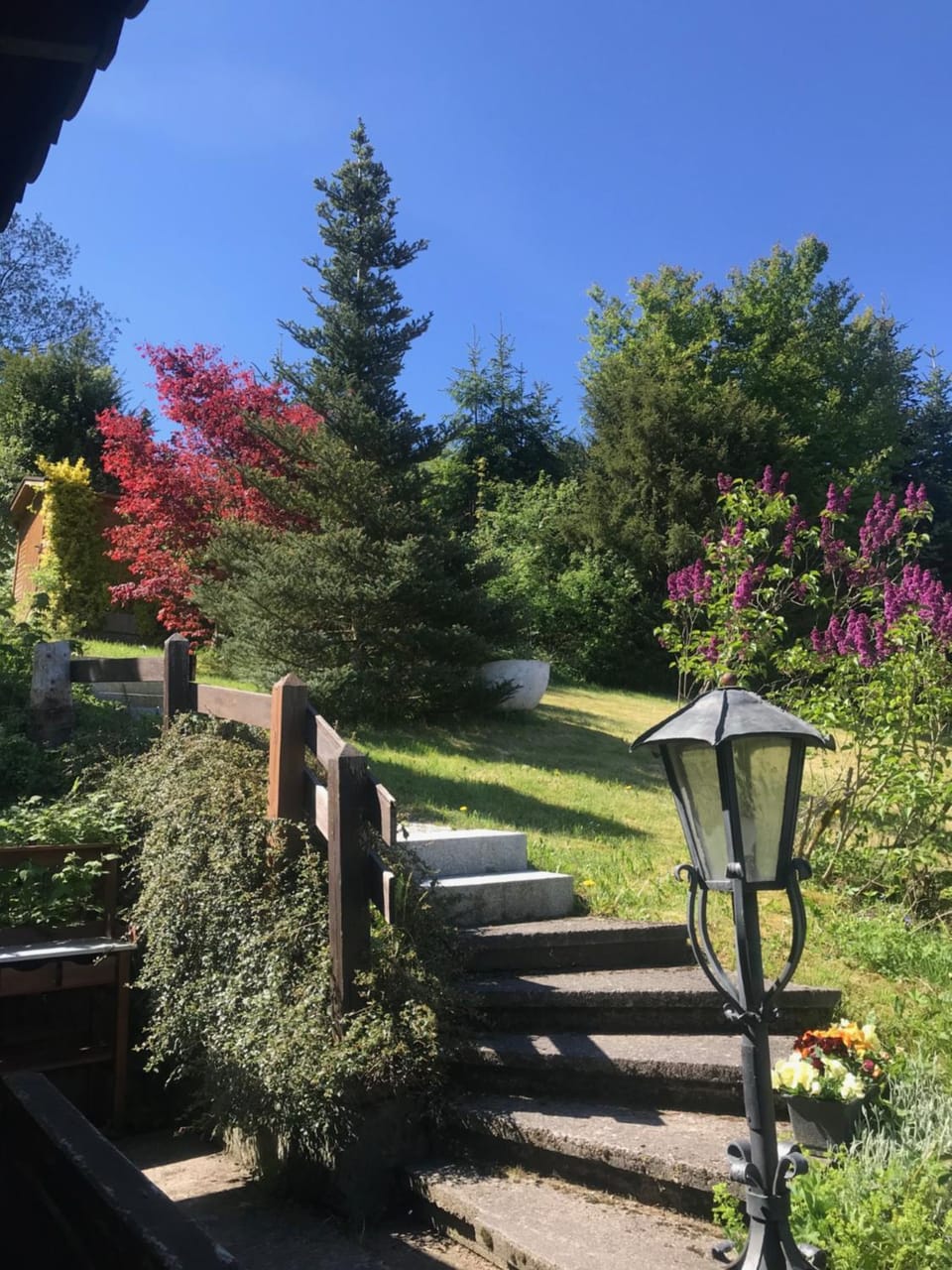 Garden view