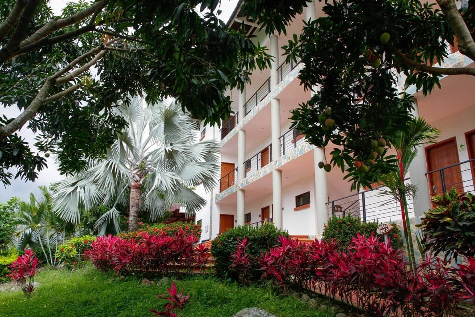 Garden, View (from property/room), Garden view
