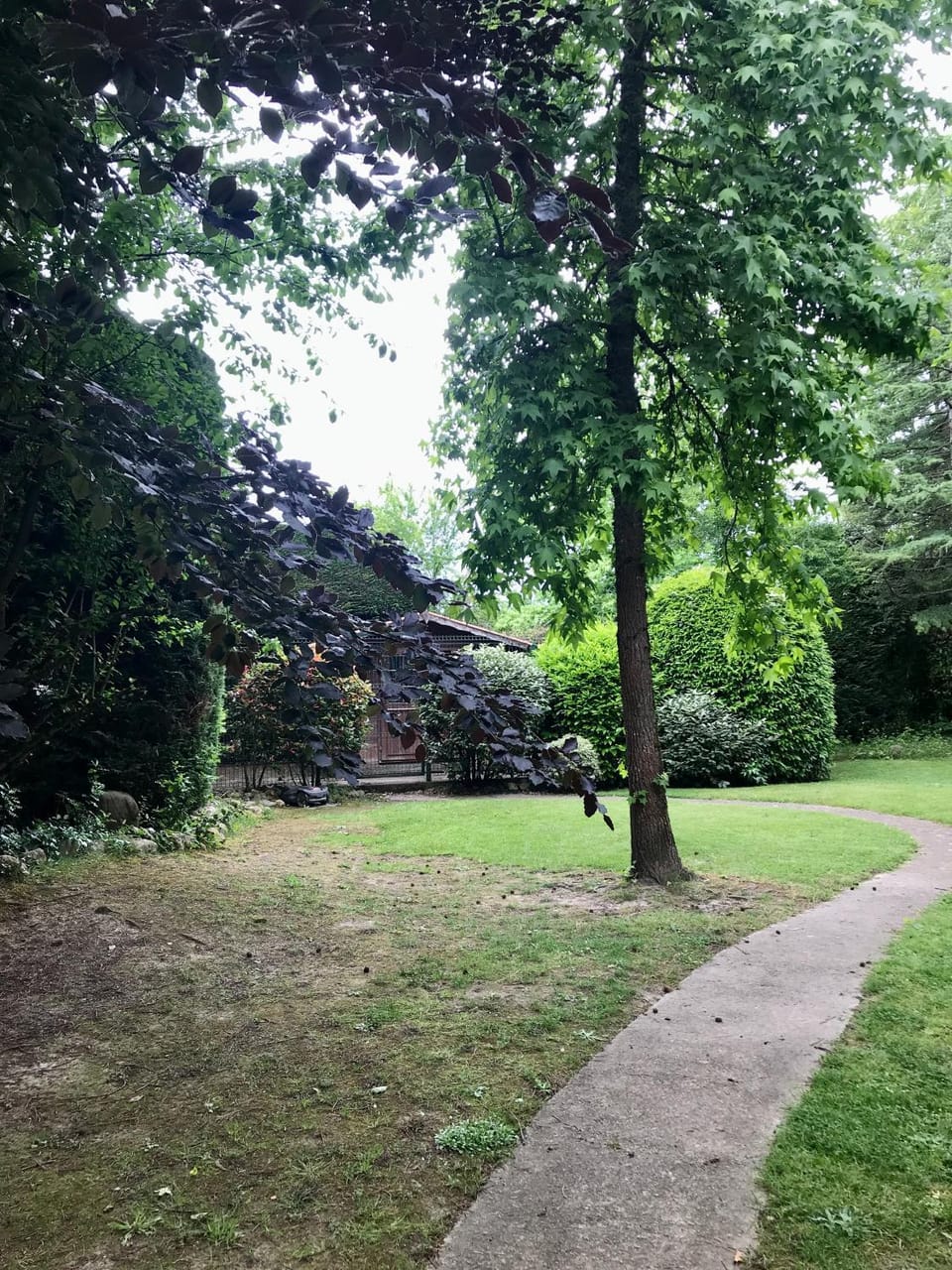 Natural landscape