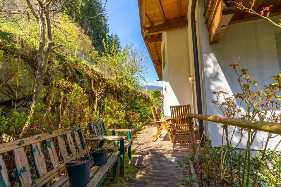 Patio, Spring, Day, Garden, View (from property/room), Garden view