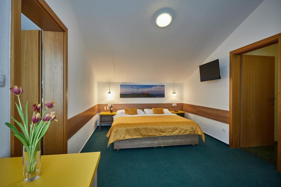Penzion Volařík Bed and Breakfast in South Moravian Region