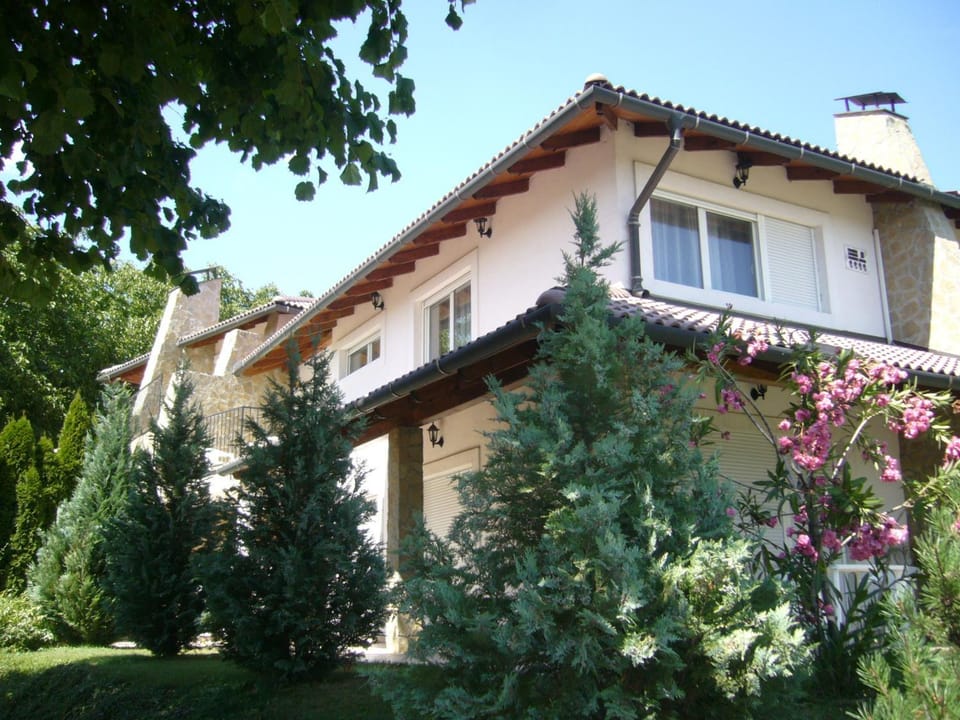 Property building, Day, Garden