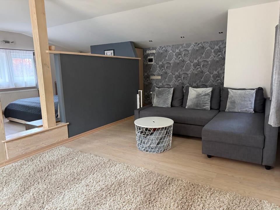 Bed, Living room, Photo of the whole room, Seating area, Bedroom