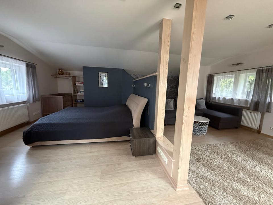 Bed, TV and multimedia, Living room, Photo of the whole room, Seating area, Bedroom, cot, air conditioner
