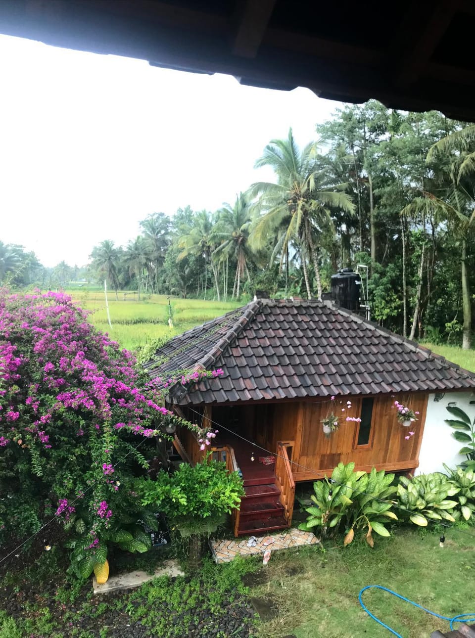 Provok bungalows Vacation rental in West Nusa Tenggara, Indonesia