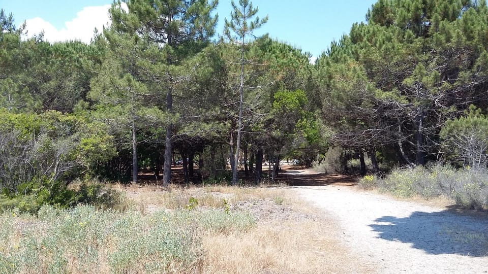 Natural landscape