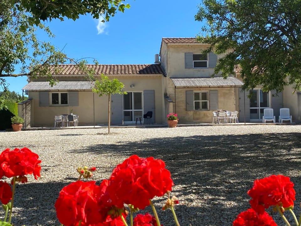 Spring, Day, Garden, Garden view