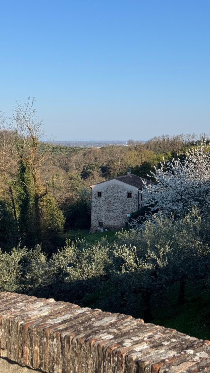 DOLCE VITA IN TUSCANY Cottage House in Capannori