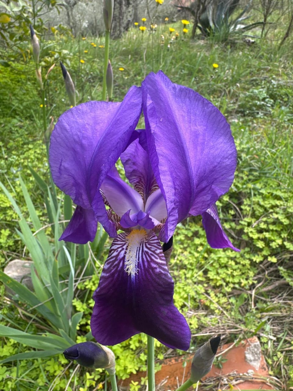 Nostro Rifugio House in Liguria