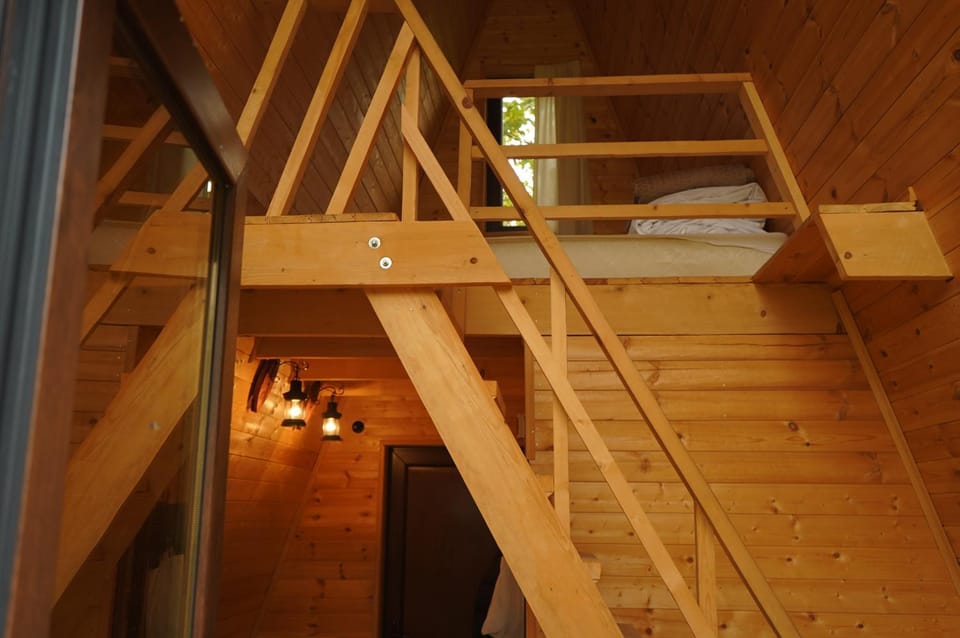 bunk bed