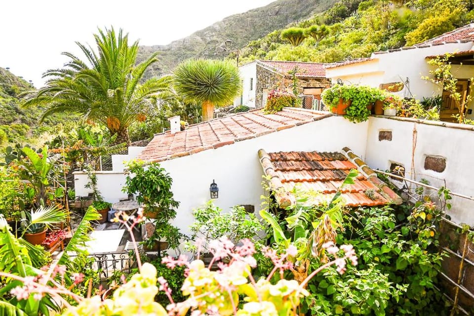 Property building, Natural landscape, Garden view