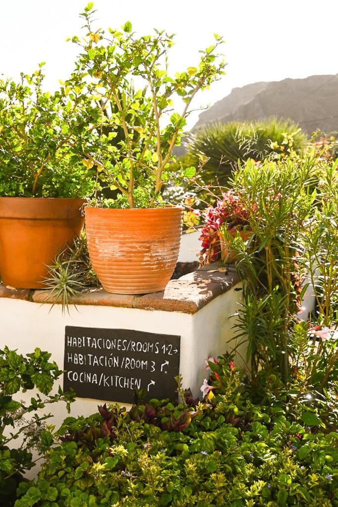 Natural landscape, Garden, Garden view