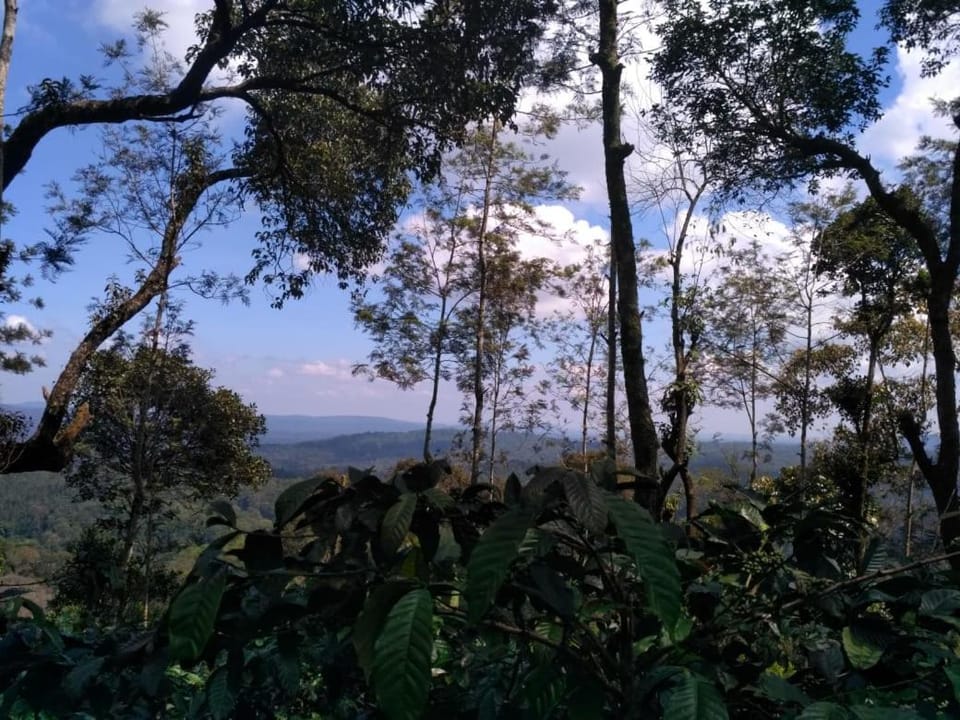 Natural landscape, Mountain view