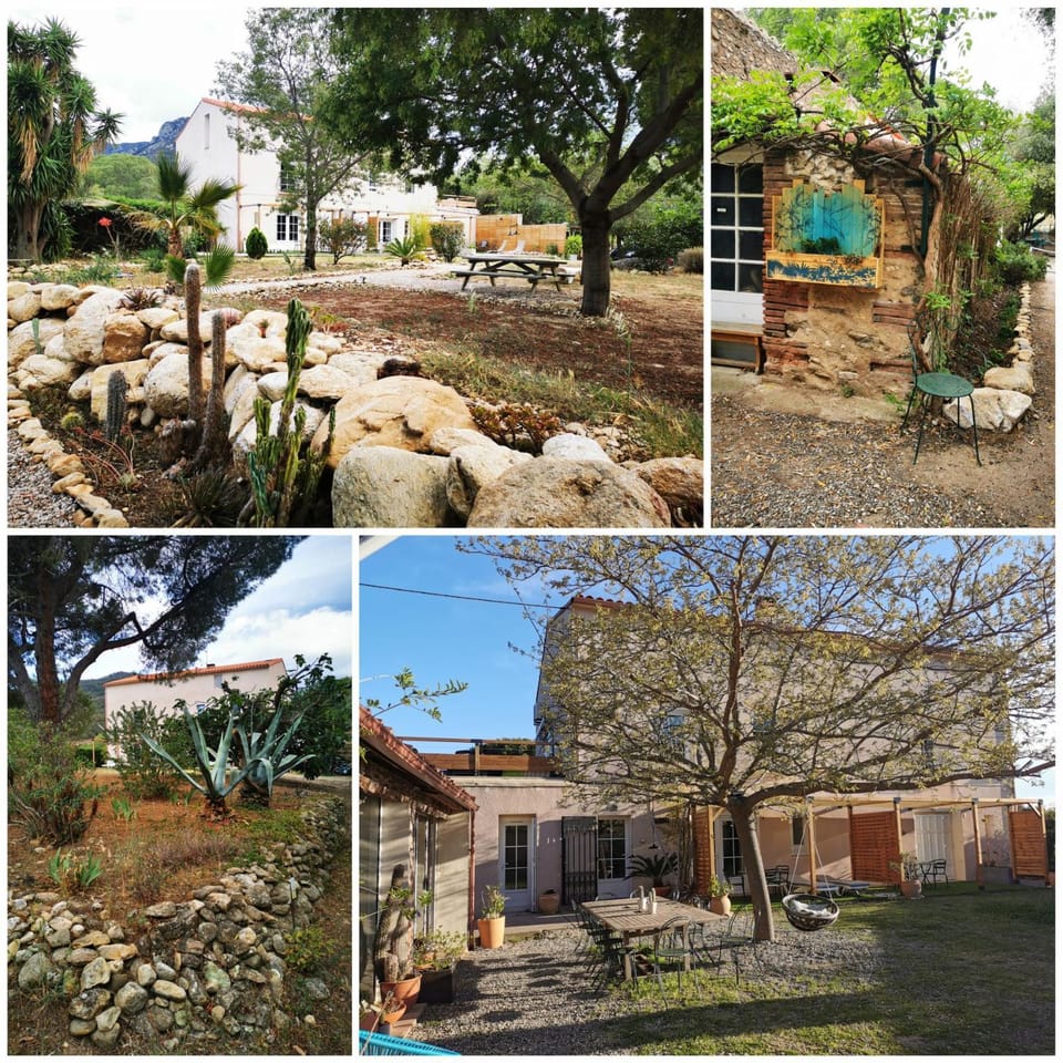 Spring, Day, Garden