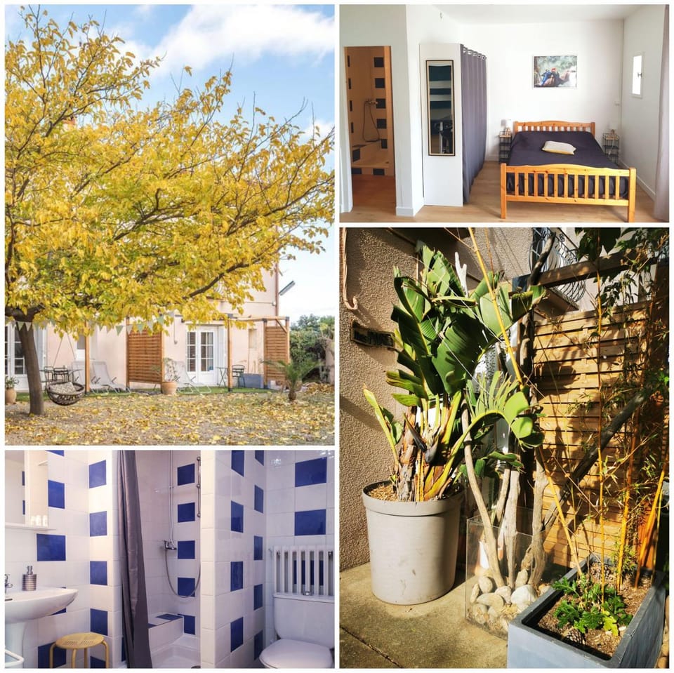 Property building, Garden view